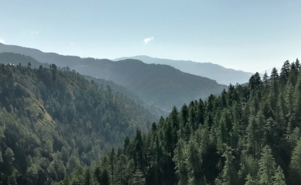 Paysage vosgien avec forêt de conifères – environnement local des meubles Hecko